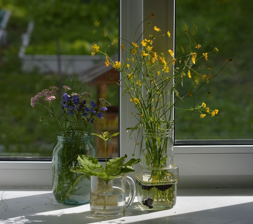 Photograph by Nadezhda