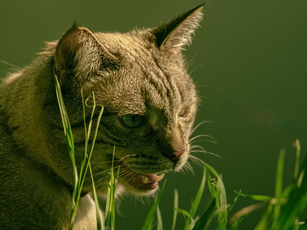 Photograph by Борис Челышев