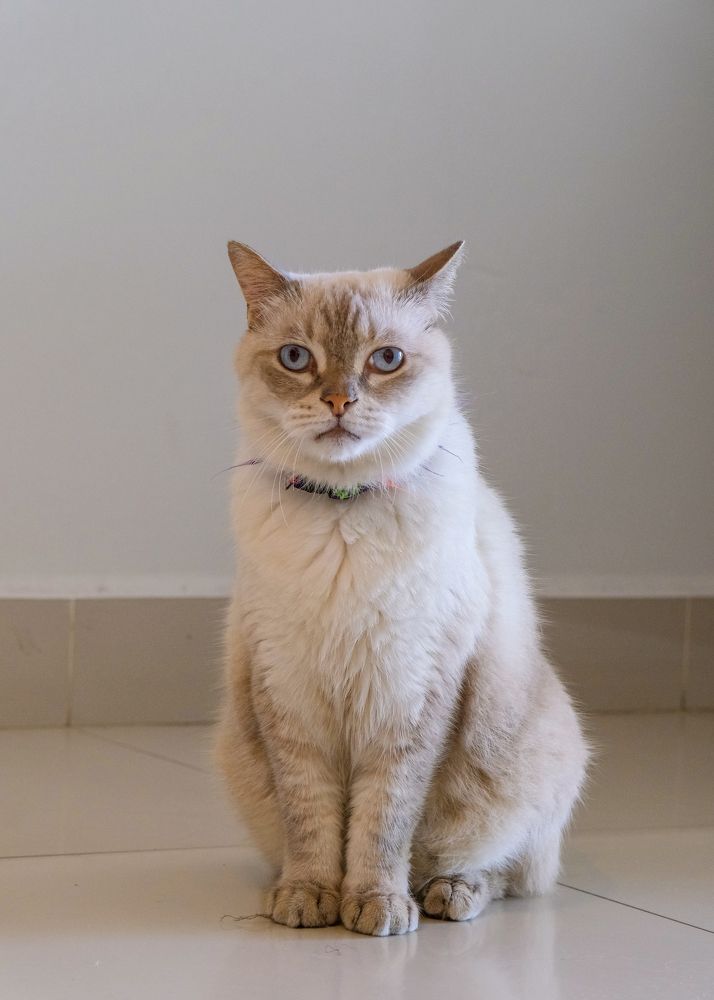 Photograph by Дмитрий