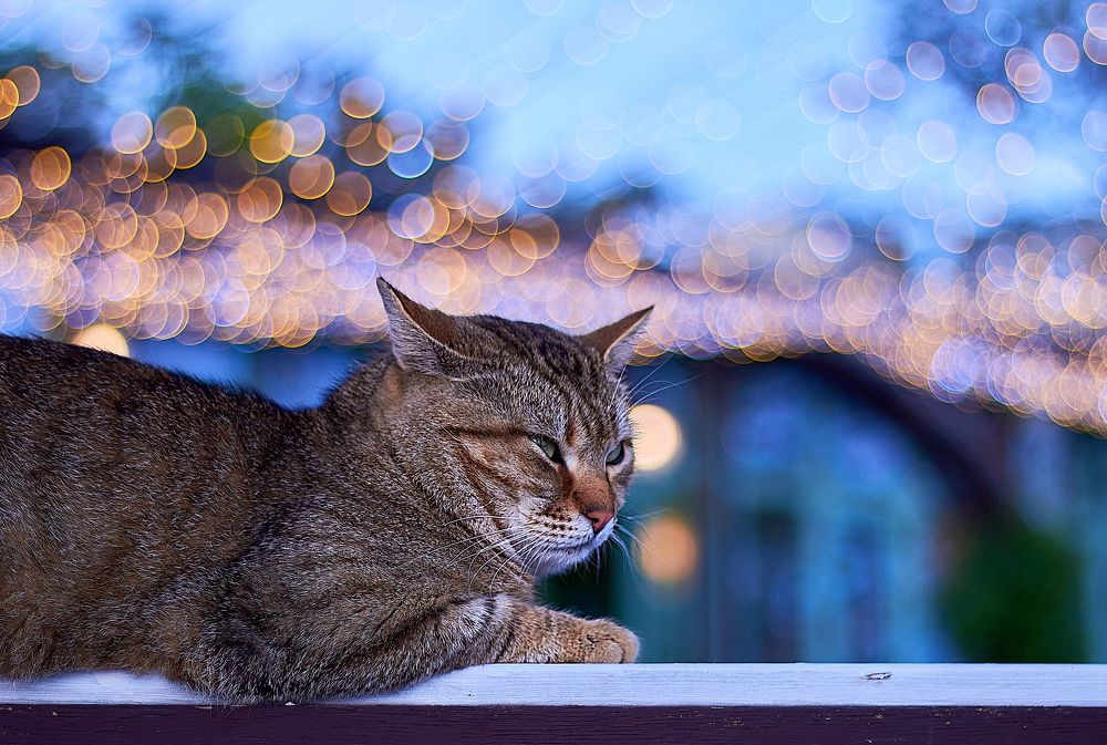 Photograph by Наталья Шевелева