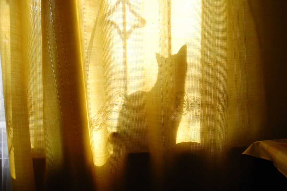 Photograph by  SaidArt