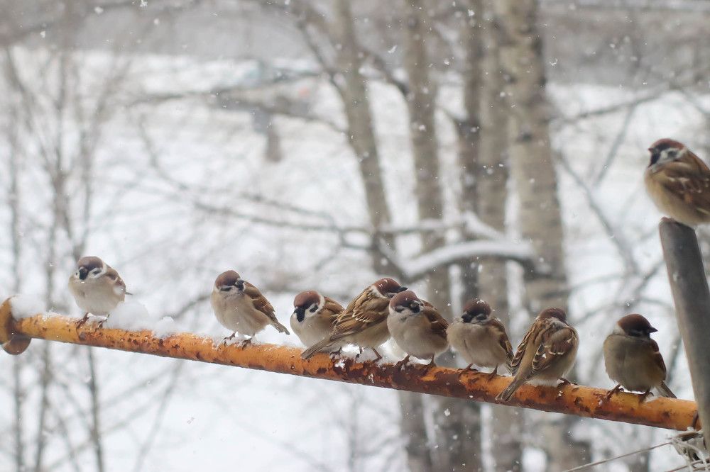 Photograph by Денис Гайдуков