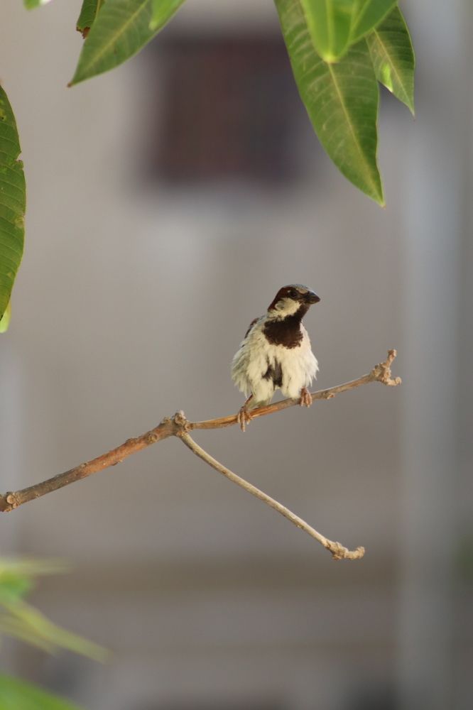 Photograph by zakaria ahmad