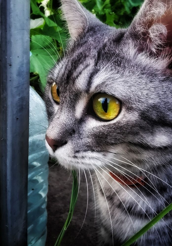 Photograph by Елена Артёменко