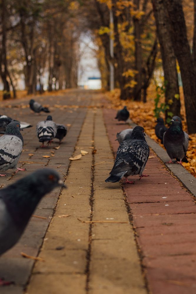 Photograph by Светлана Нестерова