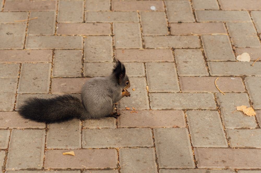 Photograph by Светлана Нестерова