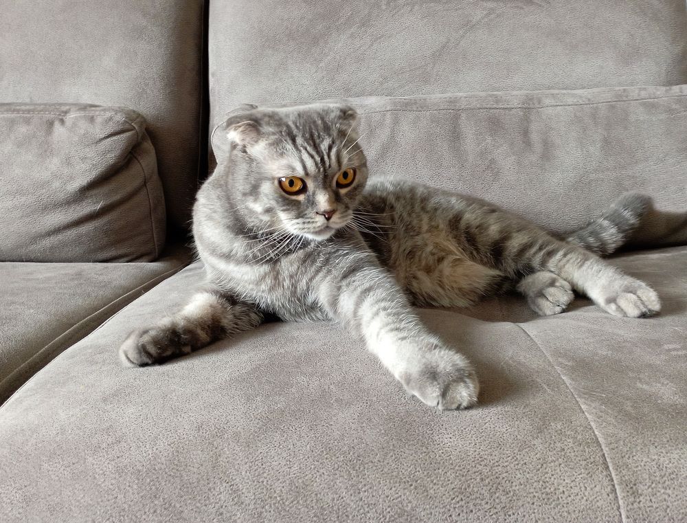 Photograph by Boris Butianov