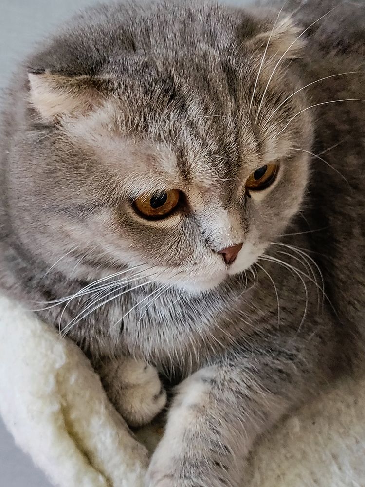 Photograph by Елена Шишкина