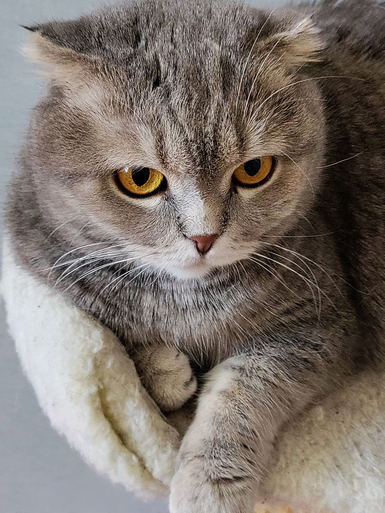 Photograph by Елена Шишкина