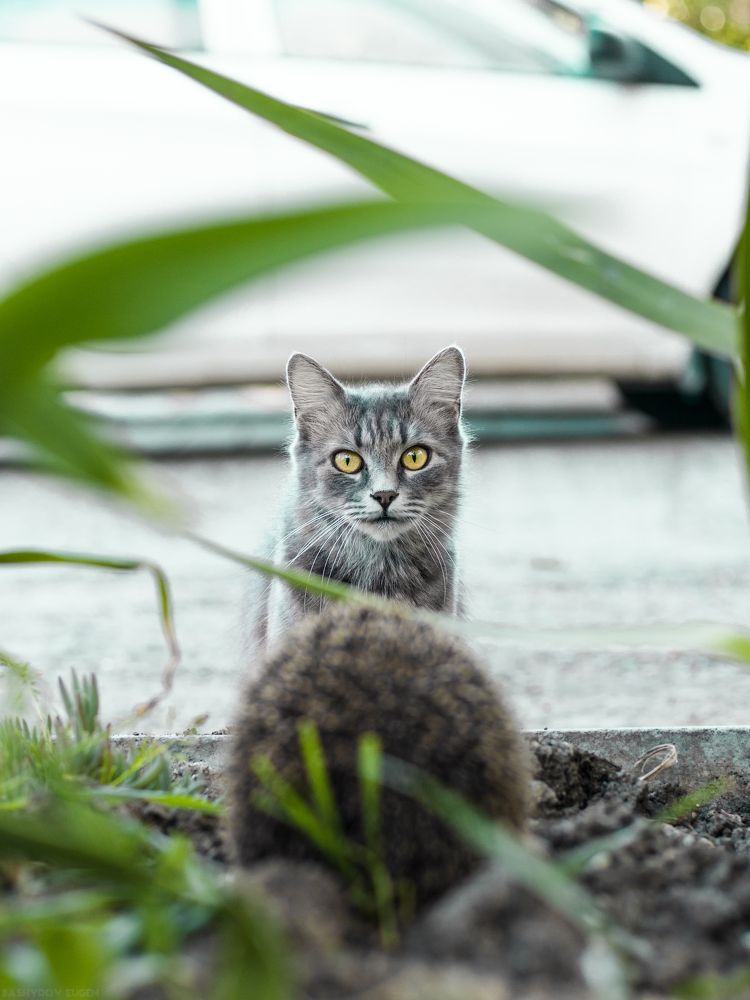 Photograph by Евгений Башуров