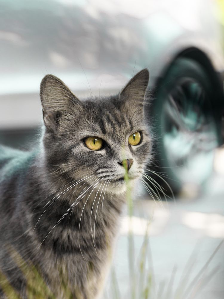 Photograph by Евгений Башуров