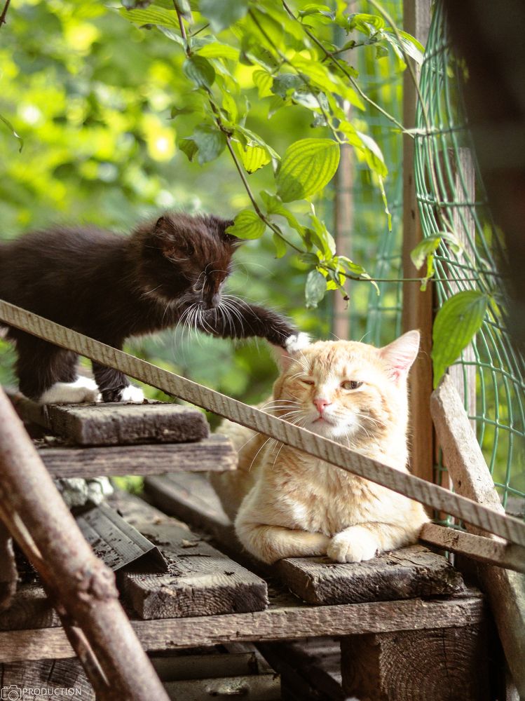 Photograph by Евгений Башуров