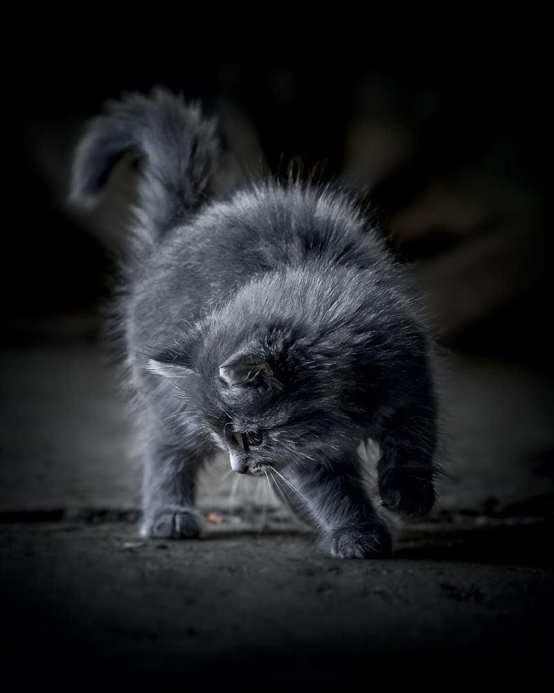 Photograph by Андрей Самородов