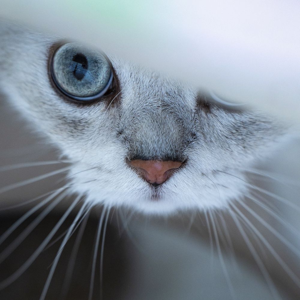 Photograph by Игорь Окунев