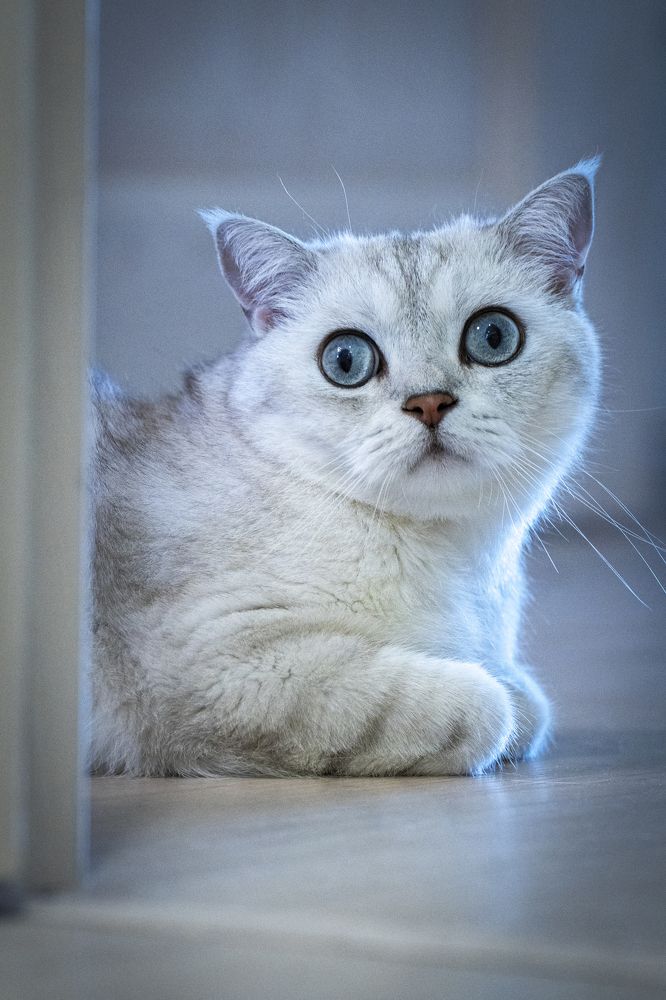 Photograph by Игорь Окунев