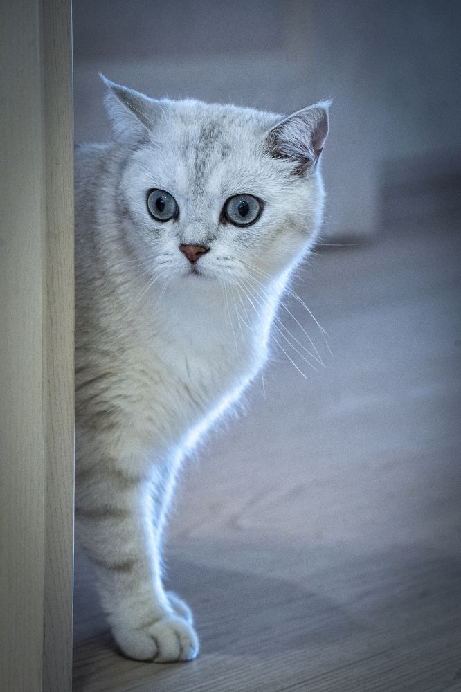 Photograph by Игорь Окунев