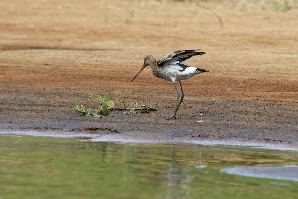 Photograph by Егор Кочергин