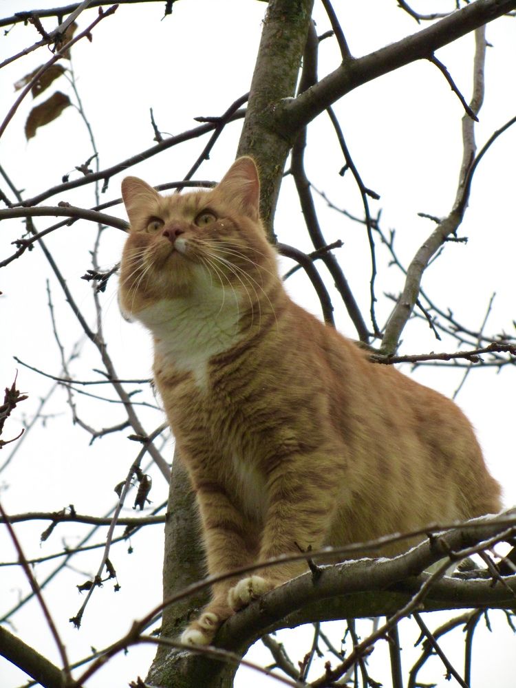 Photograph by Елена Смирнова