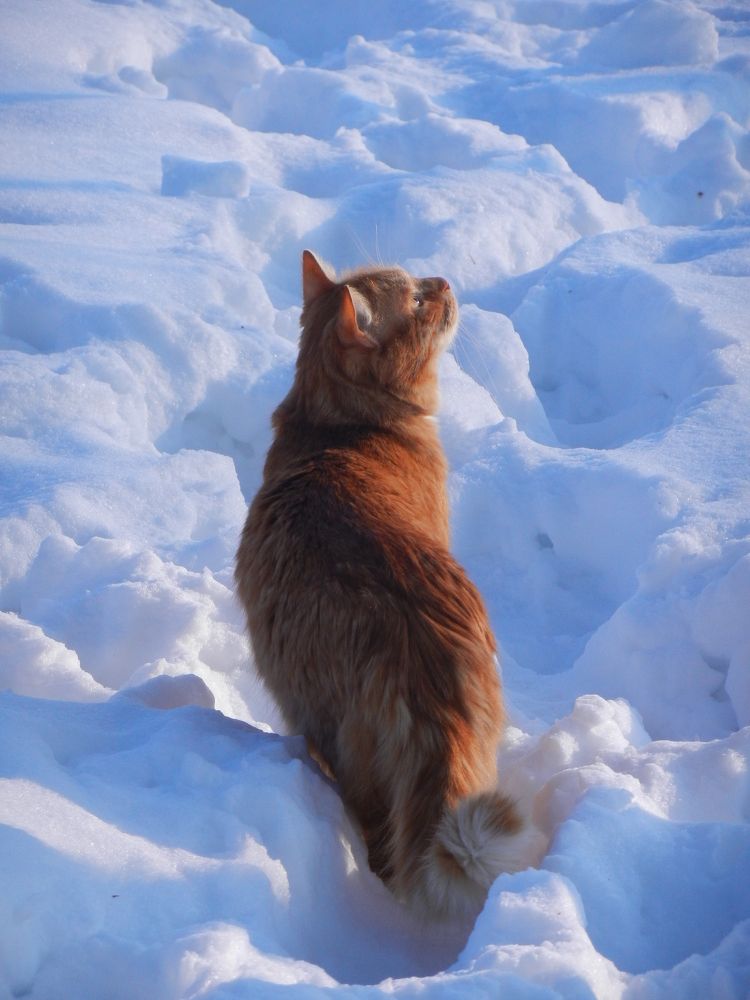 Photograph by Елена Смирнова