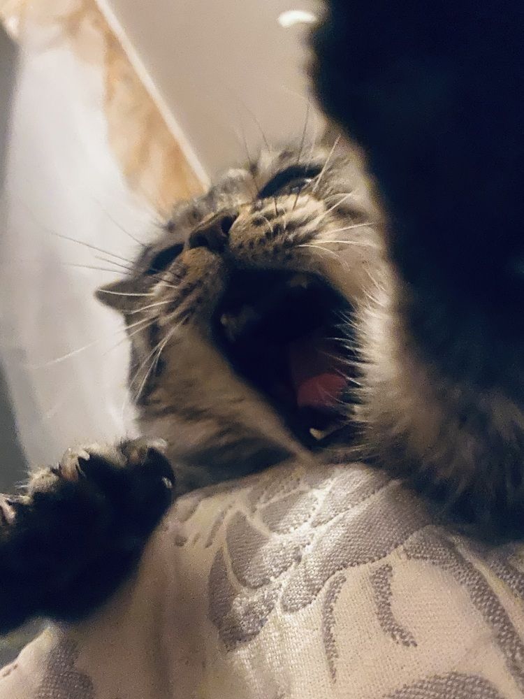 Photograph by Ольга Горбуличева