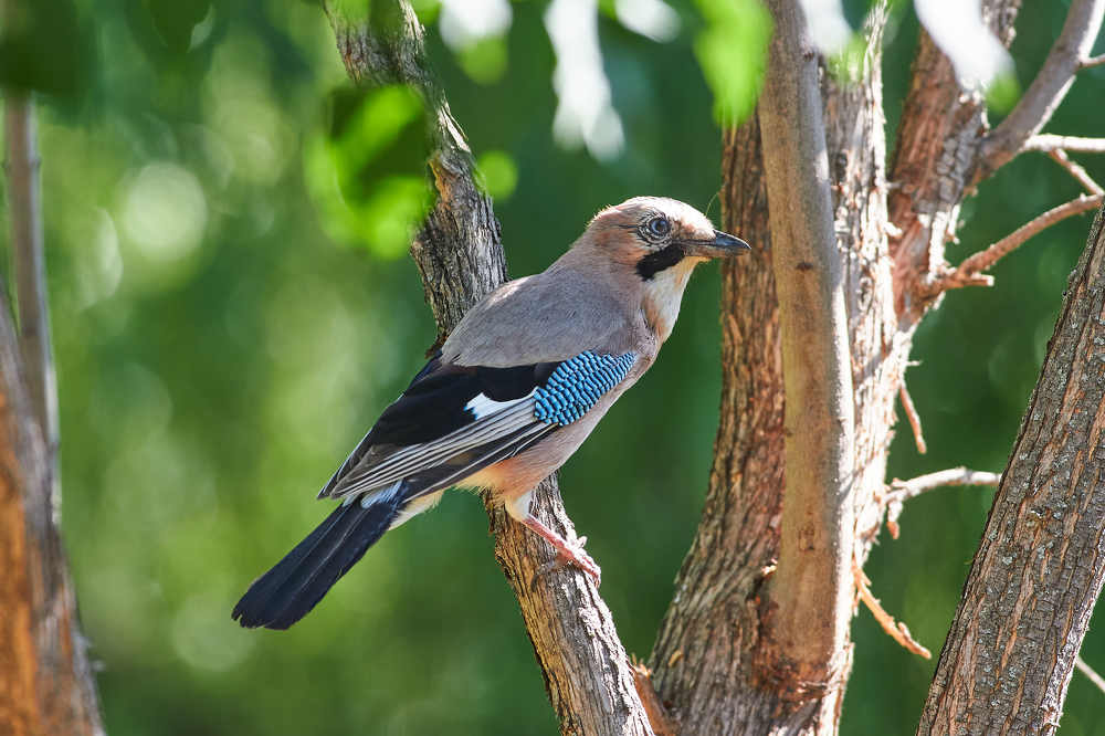 Photograph by Павел Сторчилов