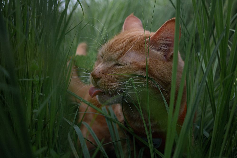 Photograph by Ольга Оверко