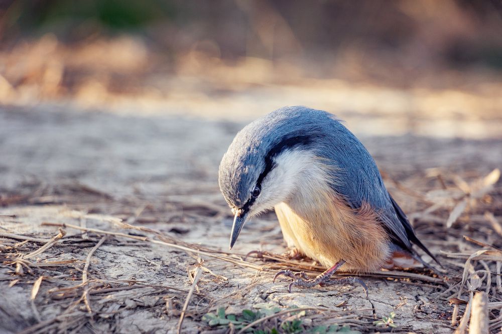 Photograph by Ольга Оверко