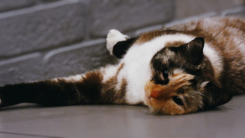 Photograph by Александр