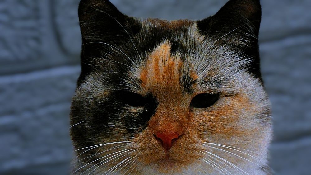 Photograph by Александр