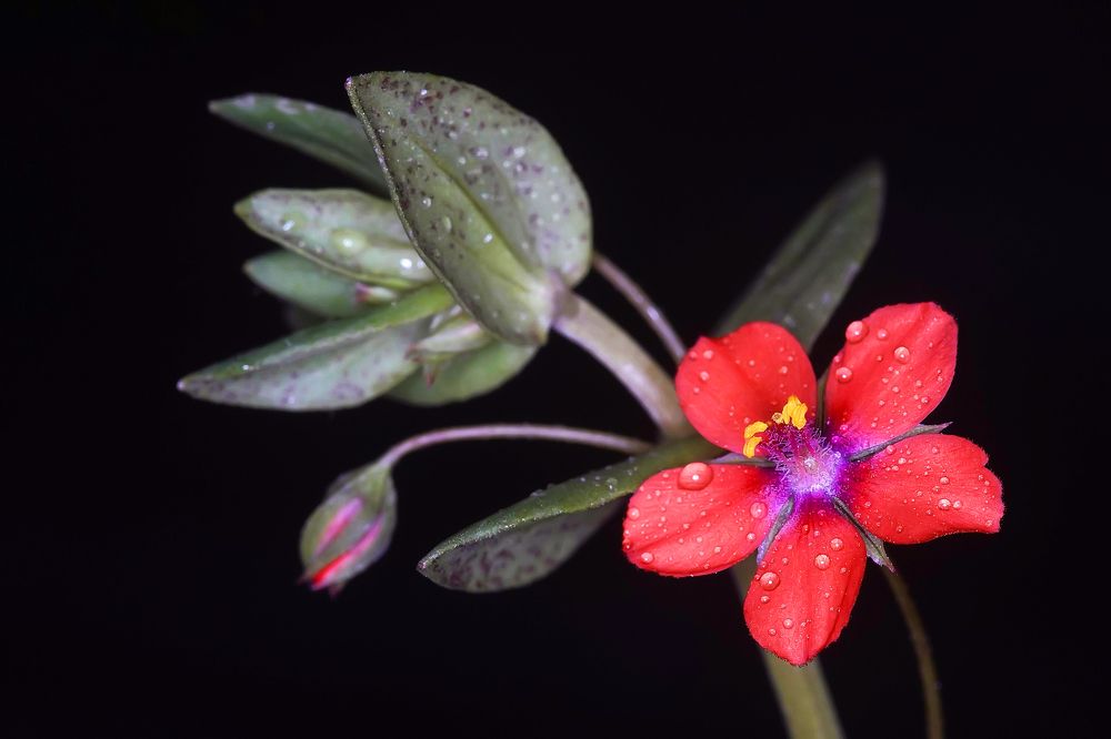 Photograph by Сергей Прокофьев