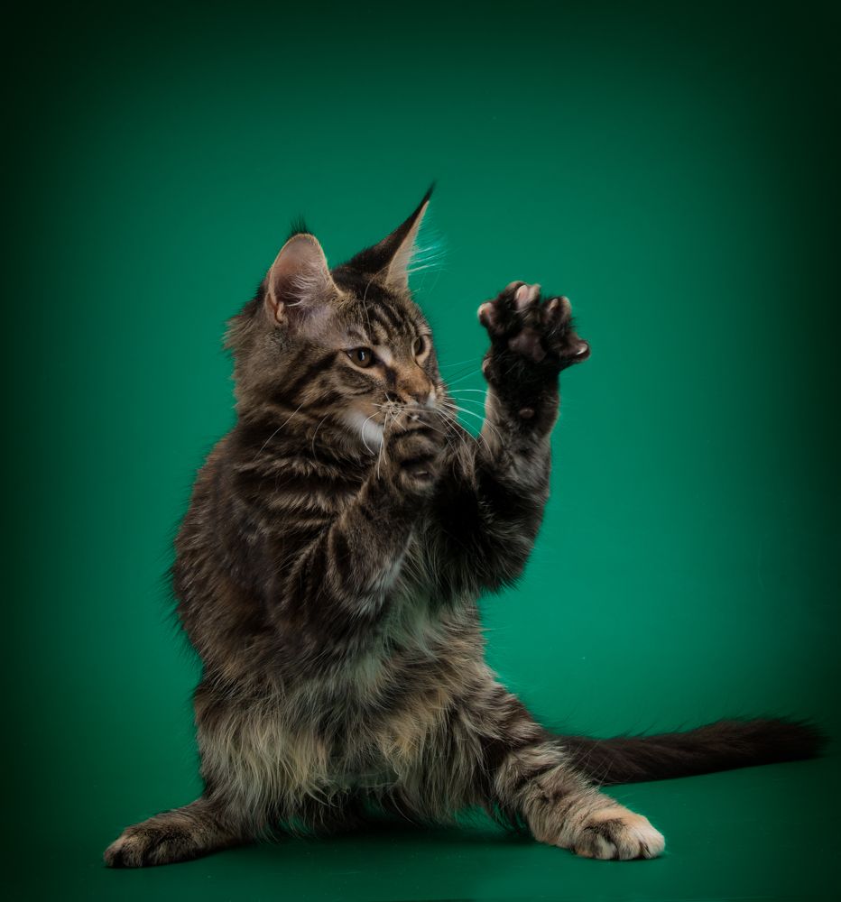 Photograph by Михаил Кабанов