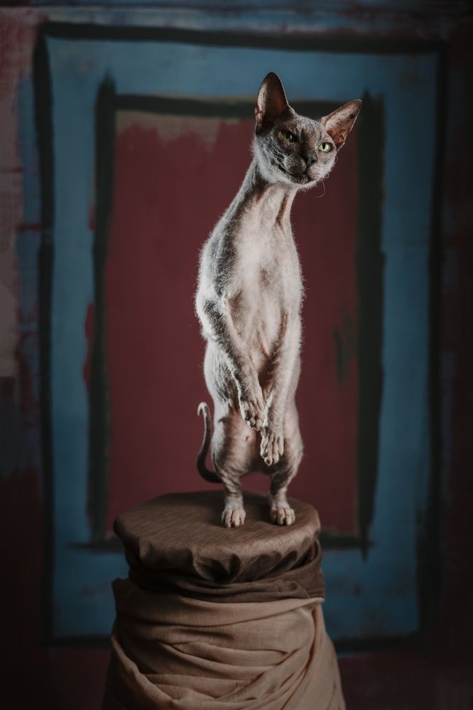 Есть тут кто!?