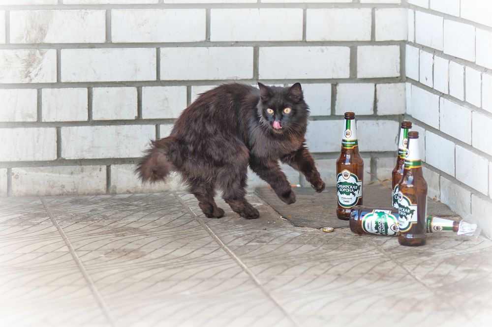 Photograph by Батурин Геннадий