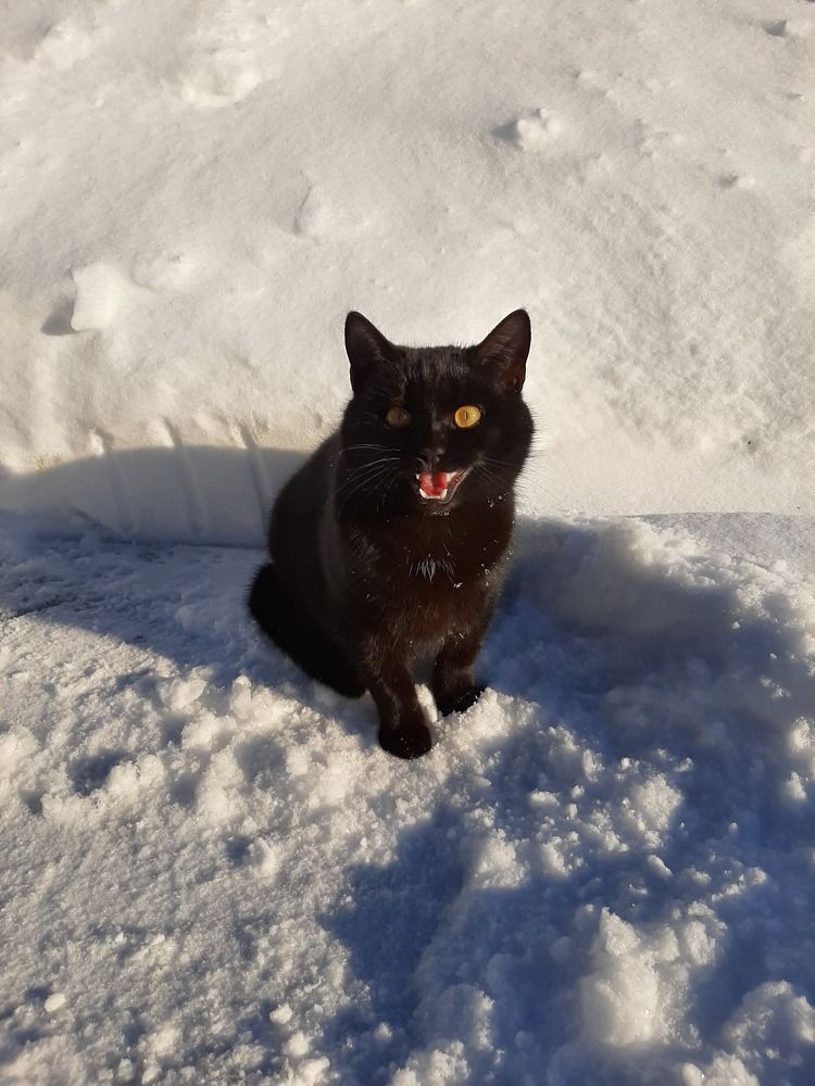 Photograph by Ивашкин Алексей