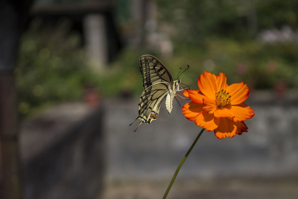 Photograph by iliya levkov