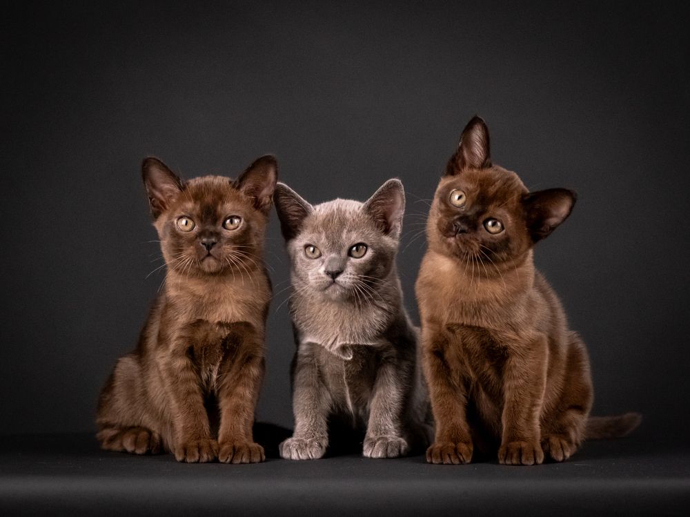 Photograph by Dina Damotseva