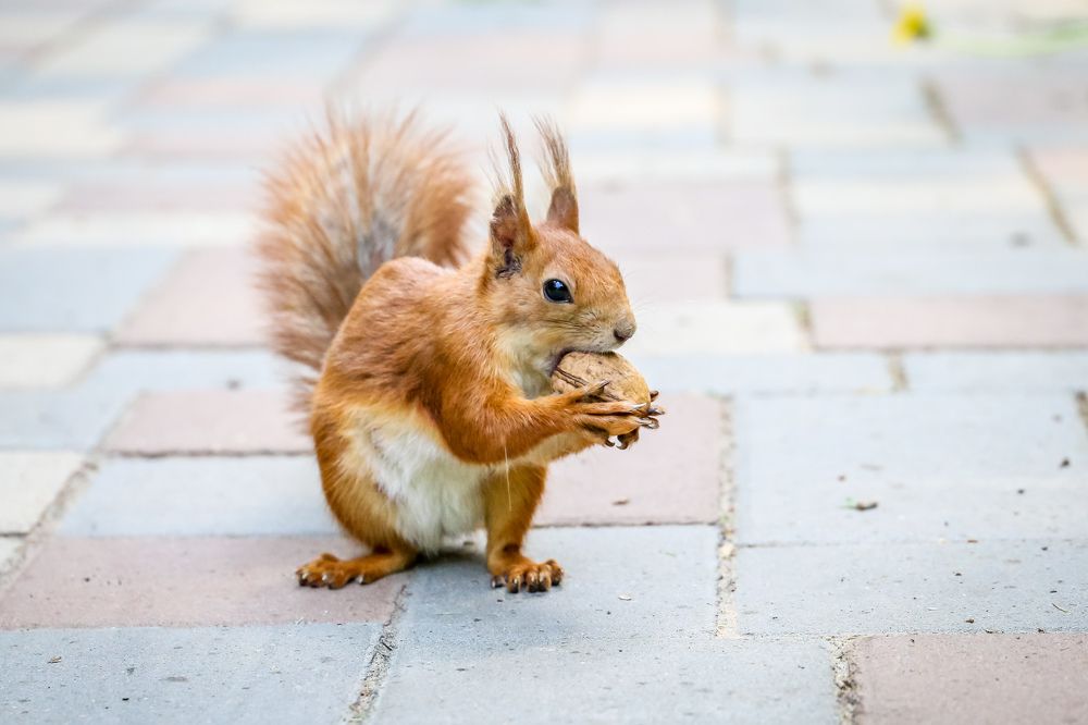 Photograph by Александр Карасев