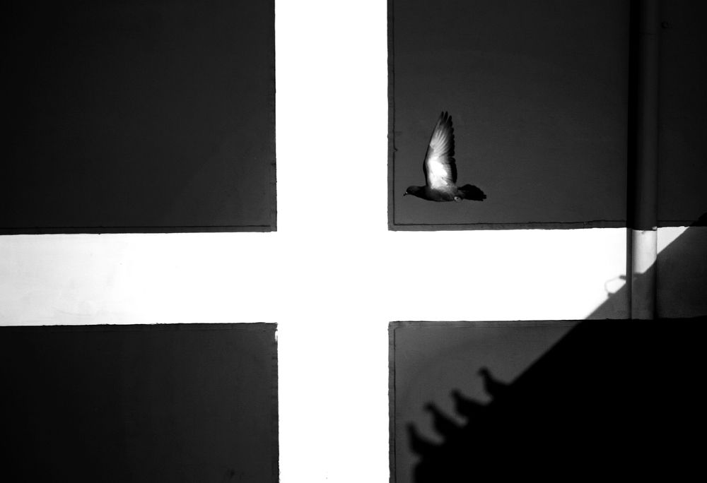 Photograph by Rayhan Ahmed