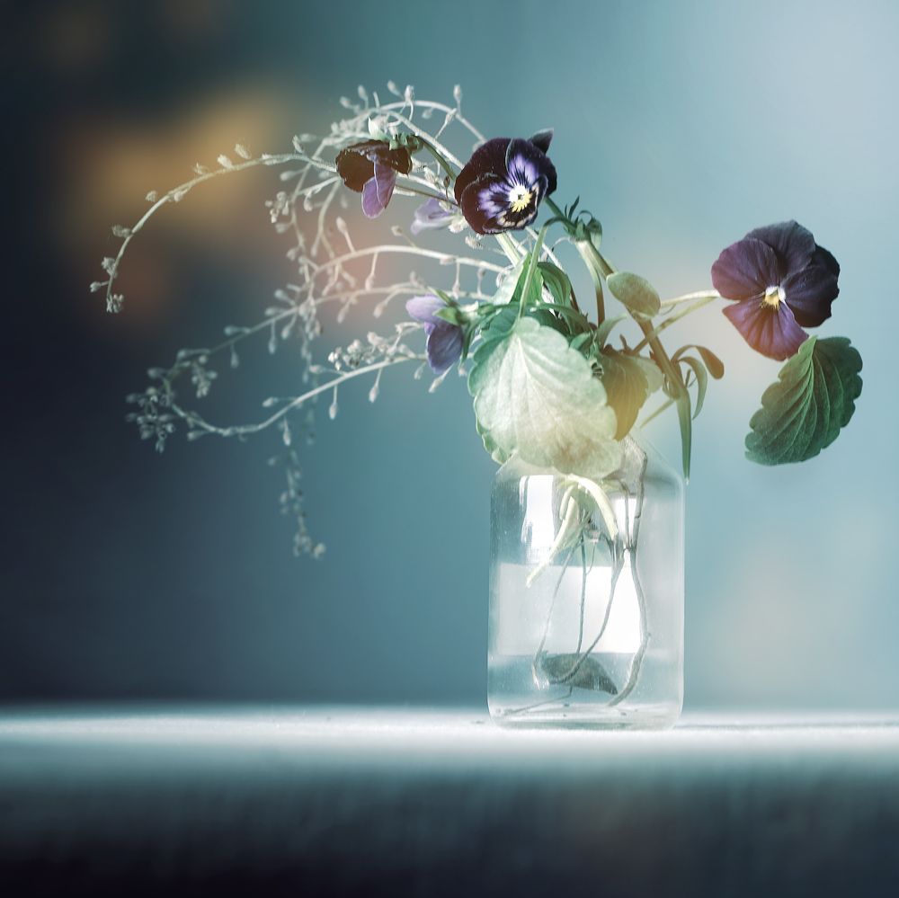 Photograph by Мария Никольская