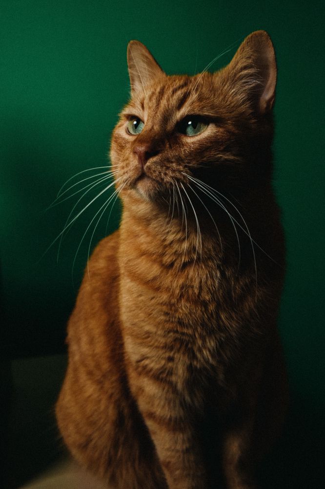 Photograph by Liza Giorria