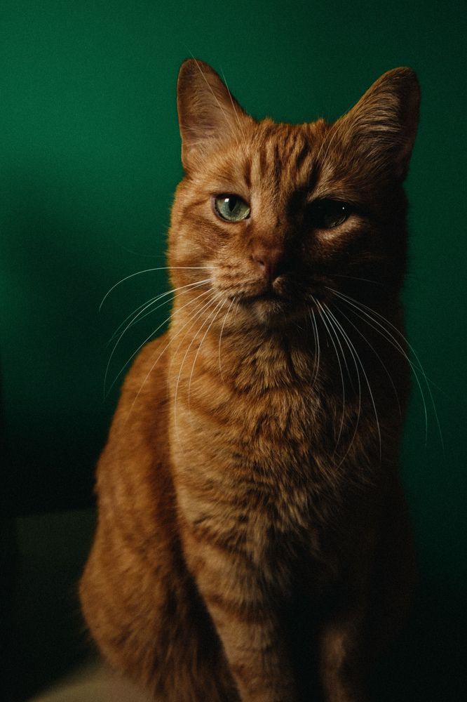 Photograph by Liza Giorria