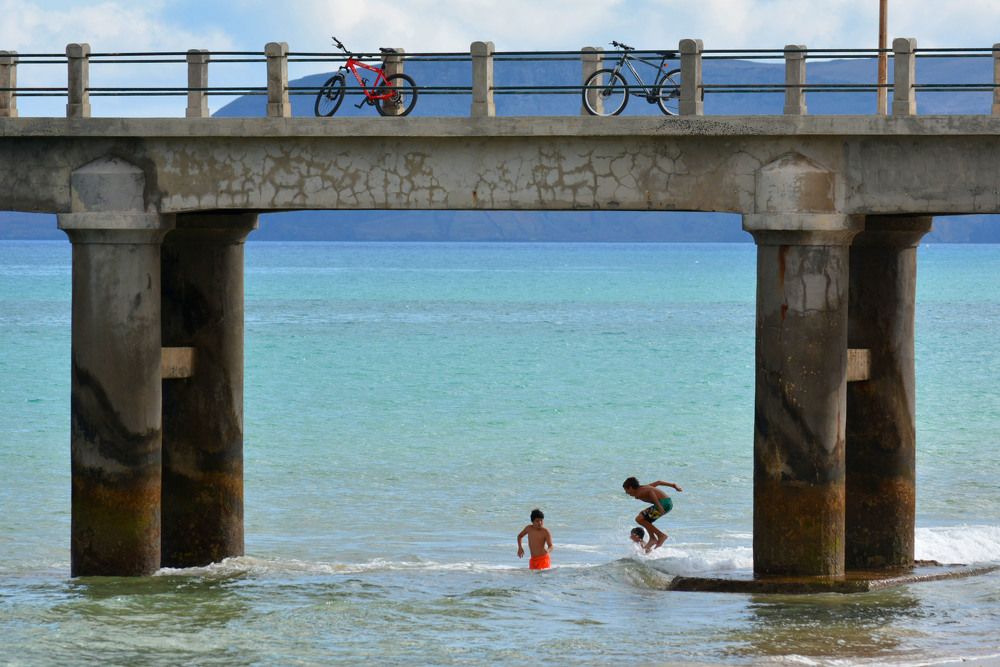 Фотография автора Алена