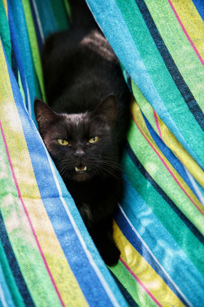 Photograph by Эльза Юнусова