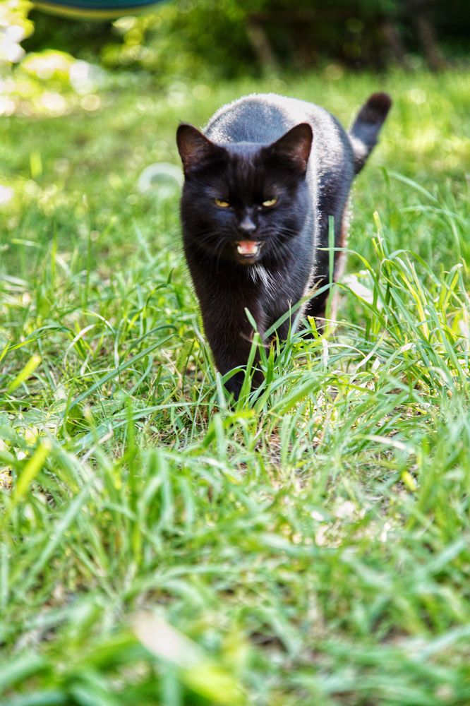 Photograph by Эльза Юнусова