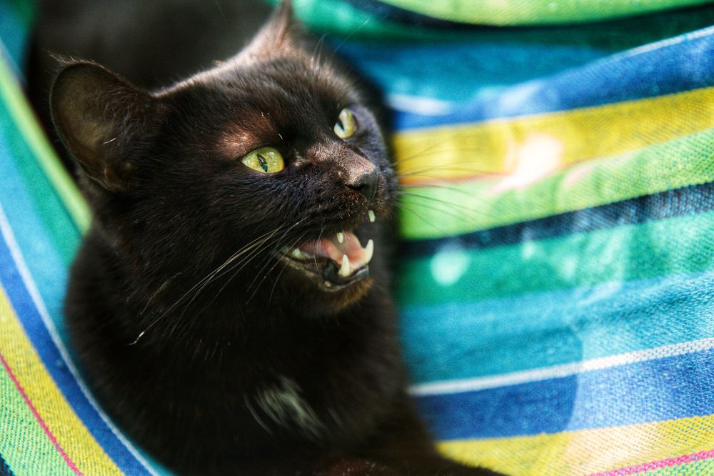 Photograph by Эльза Юнусова