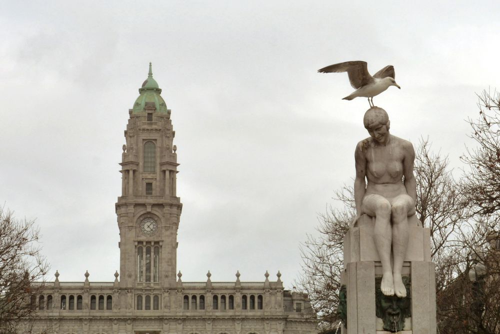 Фотография автора Алена