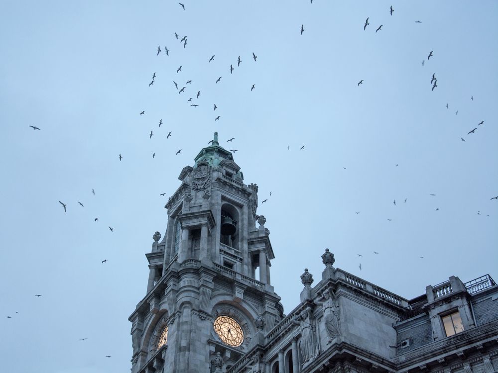 Фотография автора Алена