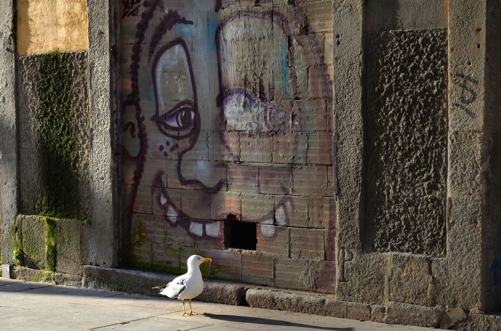 Фотография автора Алена