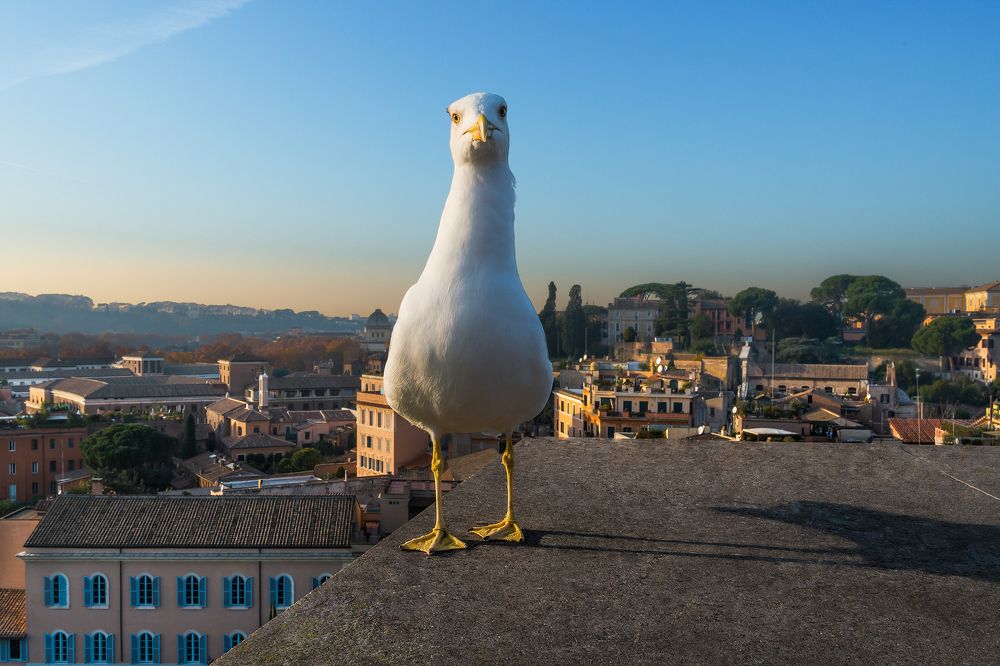 Photograph by Марина Ческис