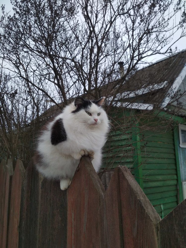 Photograph by Кузьмина Марина